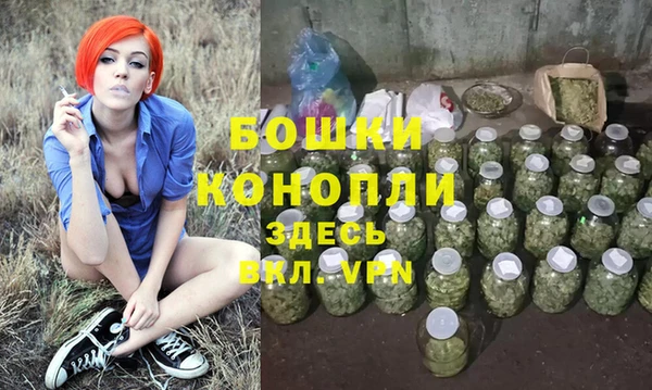 стафф Володарск