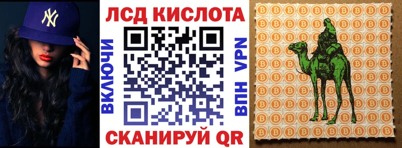 Купить закладки  Белоозёрский  Марки N-bome 1,5мг 